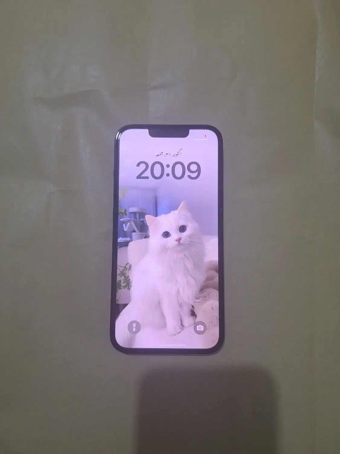 آیفون13نرمال|موبایل|کیش, |دیوار