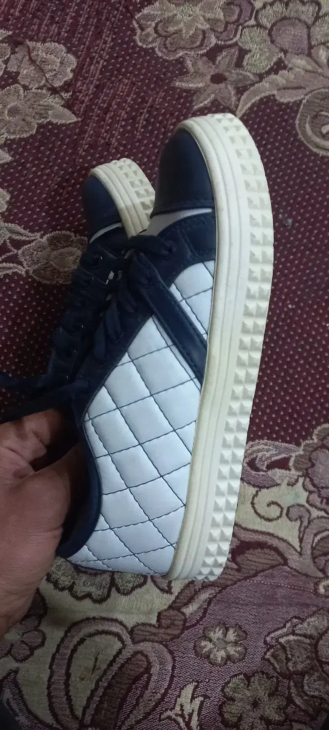 کفش اسپرت  زنانه ودخترانه|کیف، کفش، کمربند|شهرضا, |دیوار