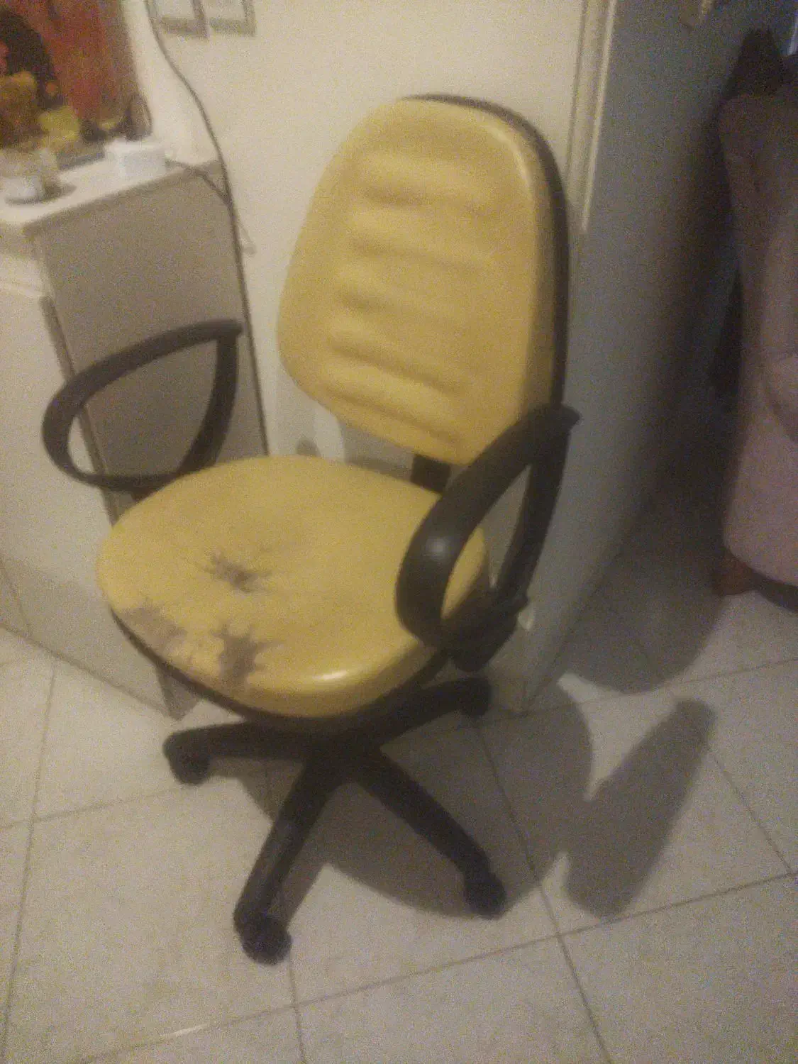 صندلی چرخدار|صندلی و نیمکت|گرمدره, |دیوار