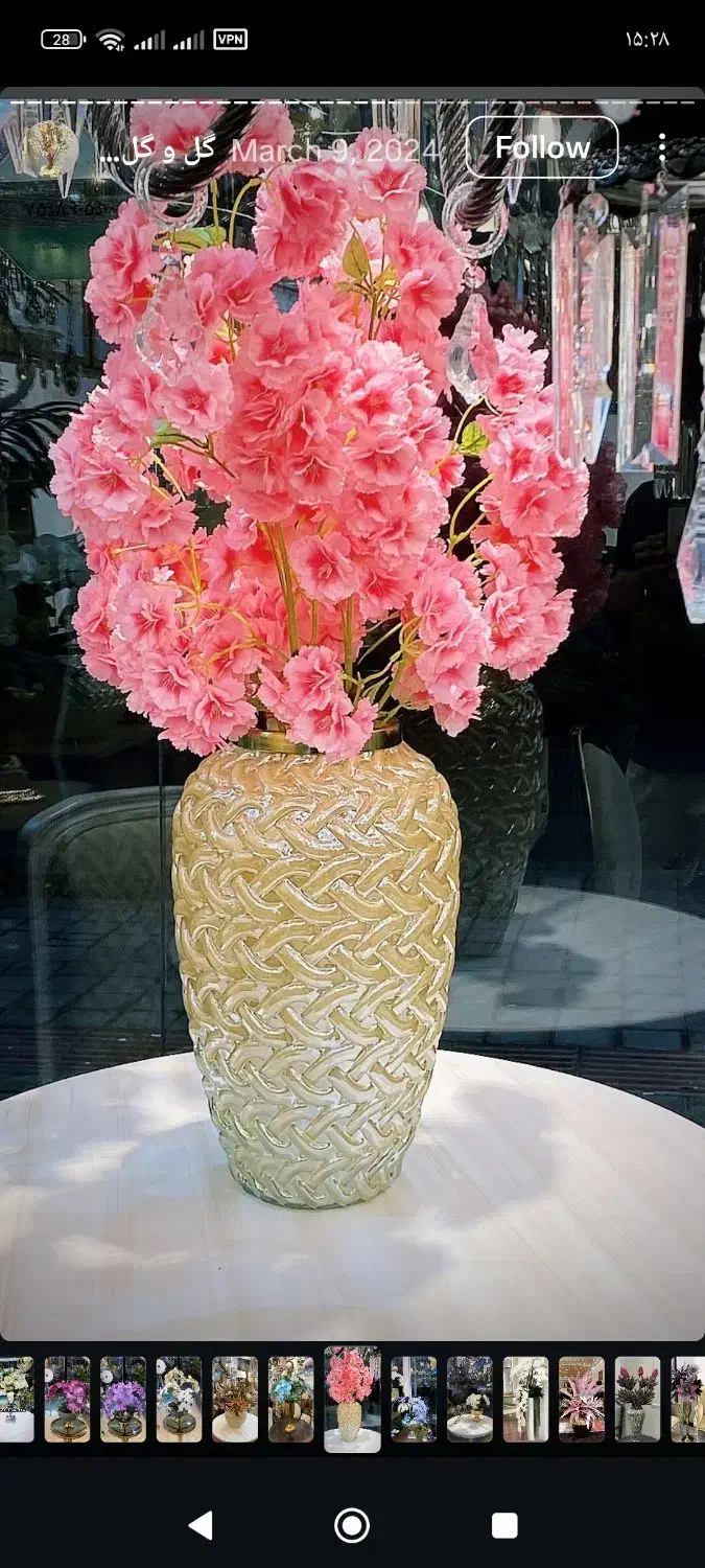 گل و گلدان|گل و گیاه طبیعی|هشتگرد, فاز ۱ مهستان|دیوار