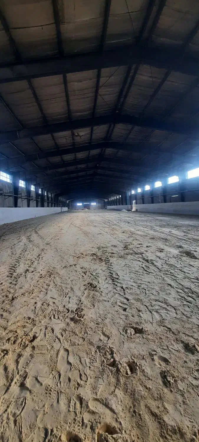 کلاس های آموزش سوارکاری|خدمات آموزشی|زنجان, |دیوار