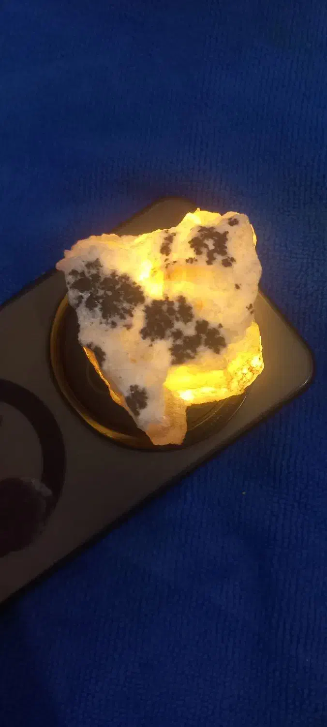 شجر تراش نخورده|جواهرات|تبریز, |دیوار