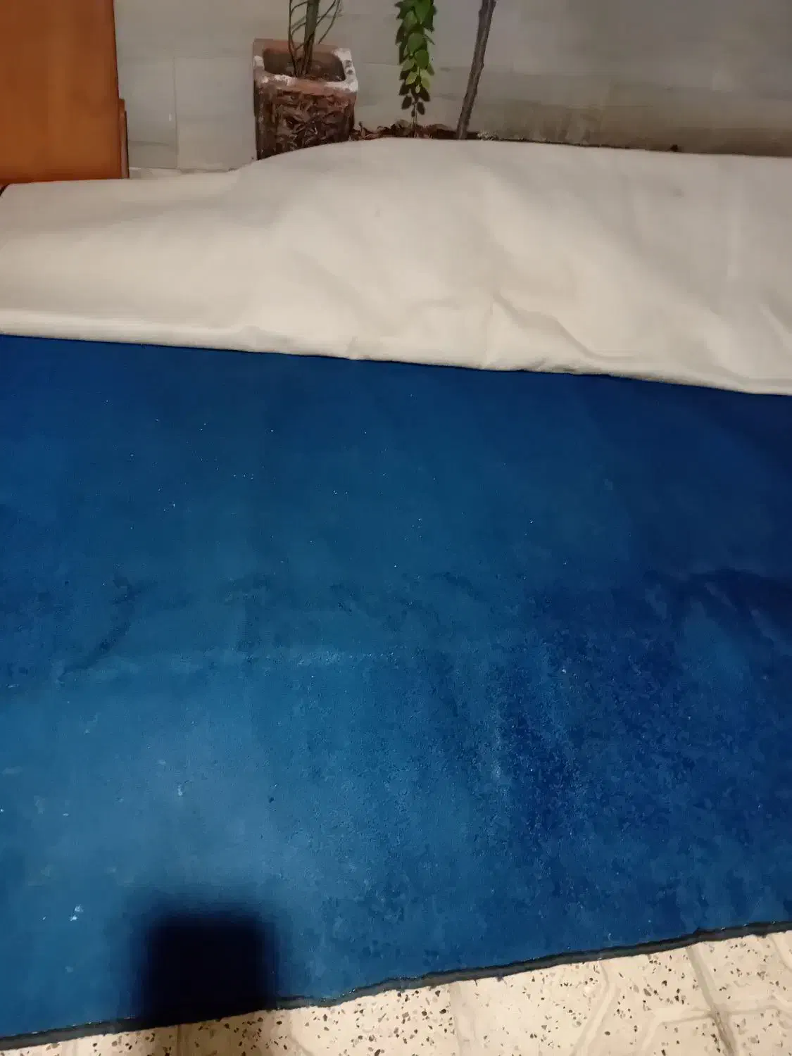 موکت ظریف مصور ضخیم|موکت|مشهد, حجت|دیوار