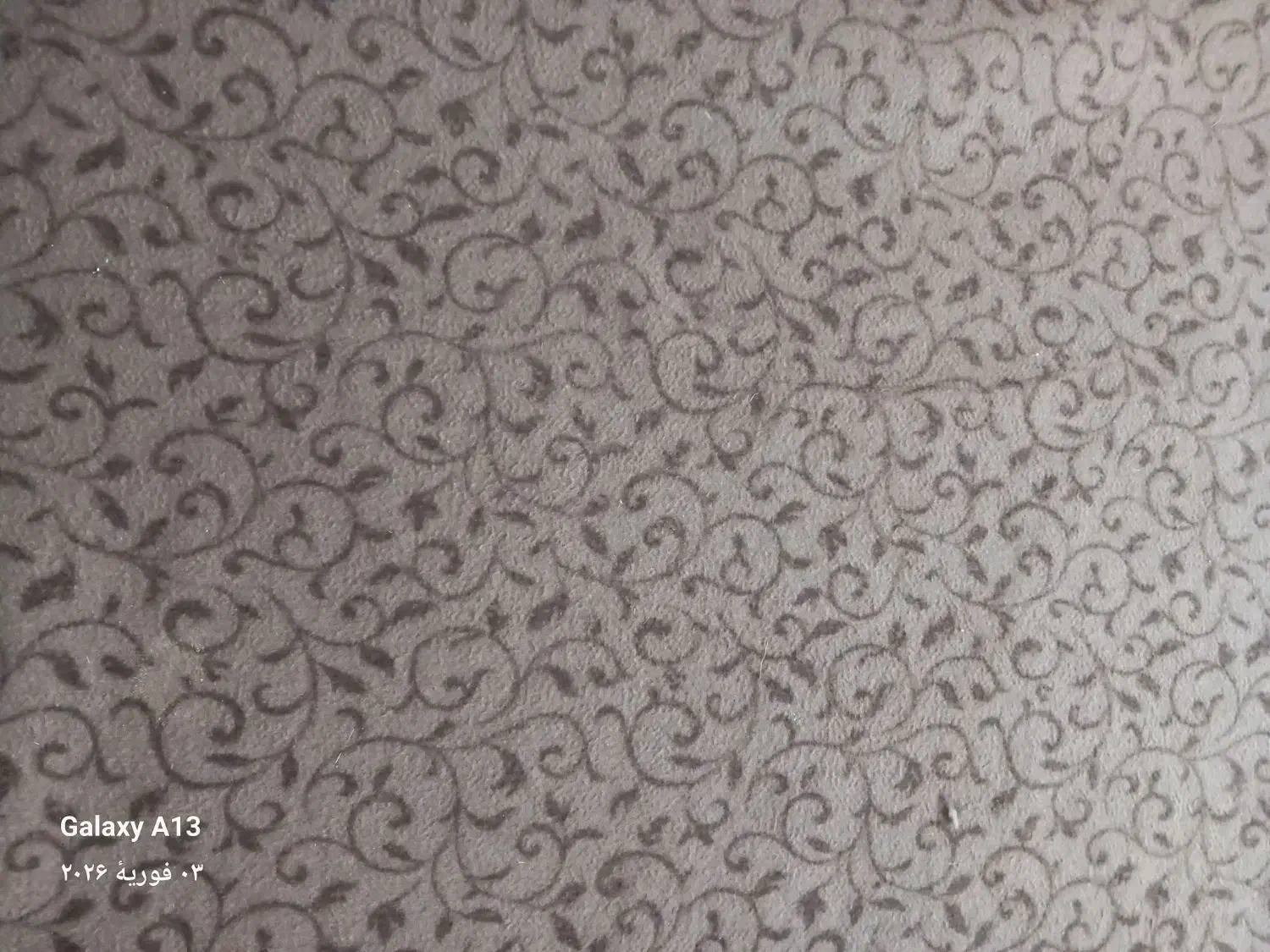 موکت طرحدار|موکت|گنبد کاووس, |دیوار