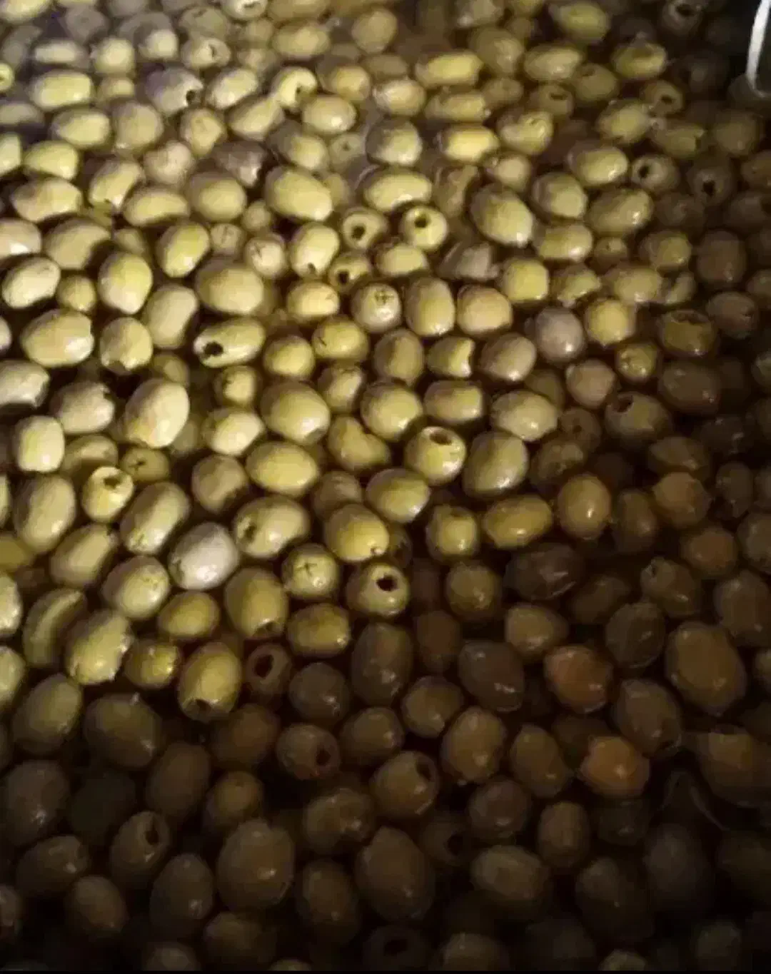 فروش محصولات زیتون رودبار|خوردنی و آشامیدنی|رشت, آزادگان|دیوار