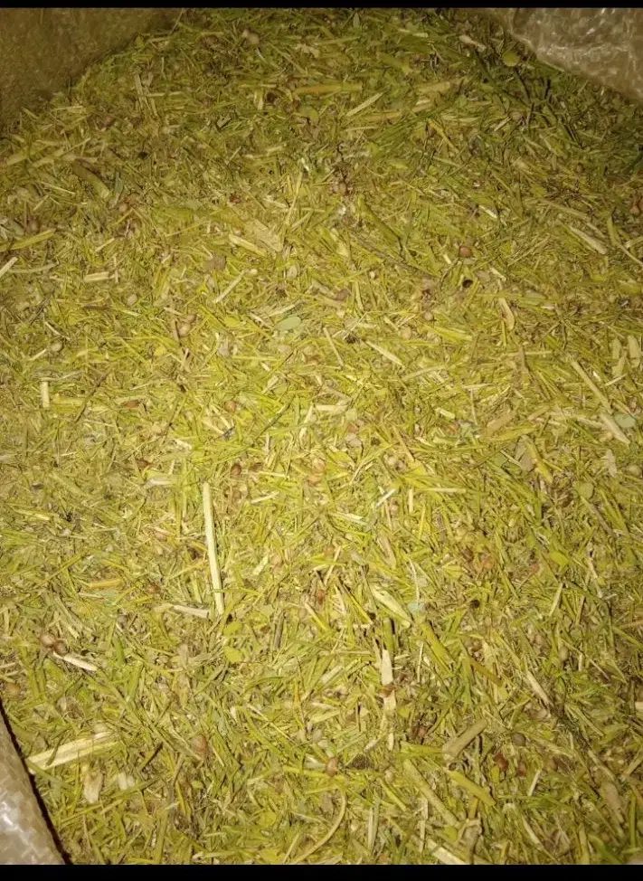 خار شتری|حیوانات مزرعه|قلندر آباد, |دیوار