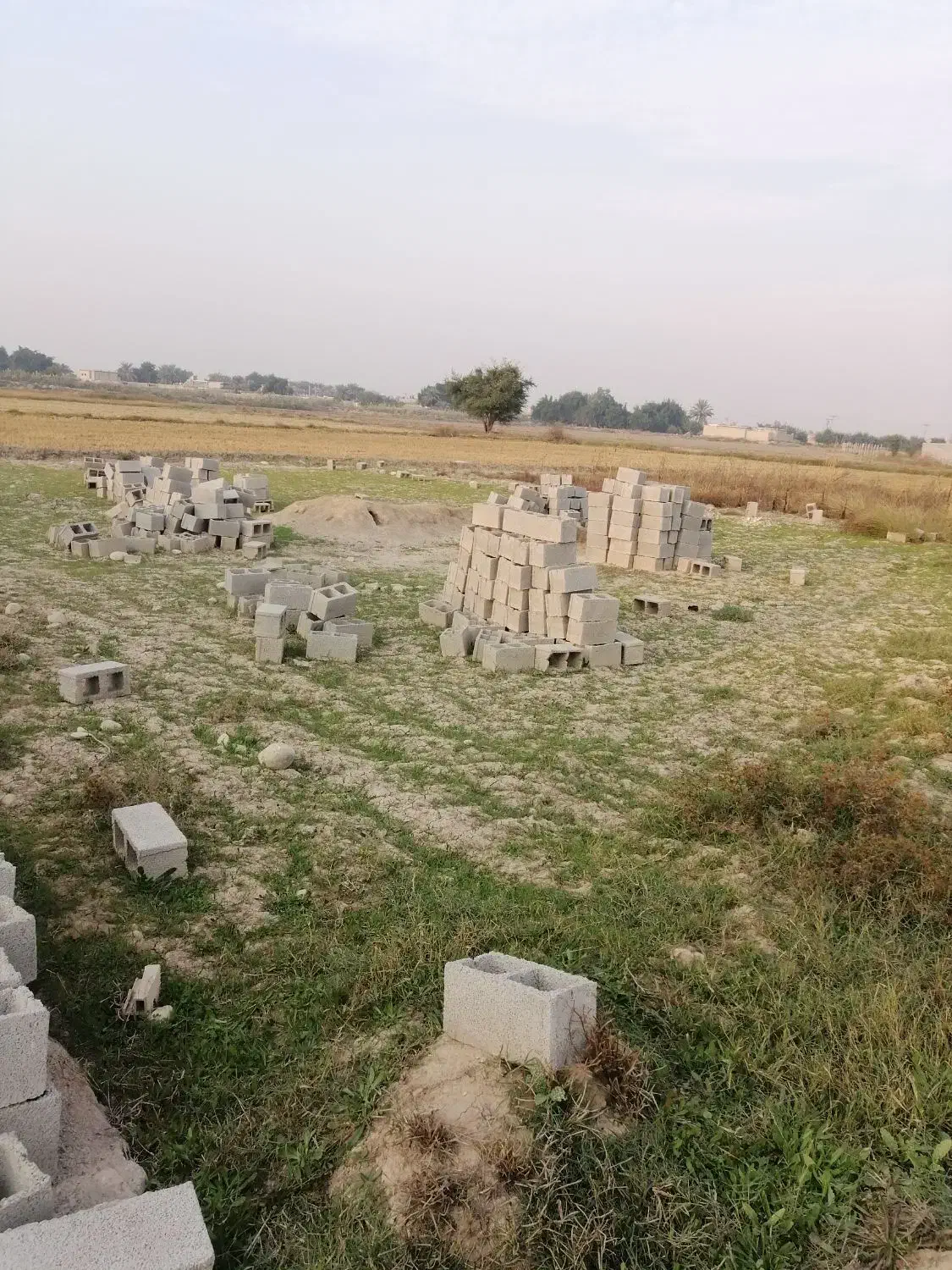 فروش زمین باغ ویلا|فروش زمین و ملک کلنگی|شوشتر, |دیوار