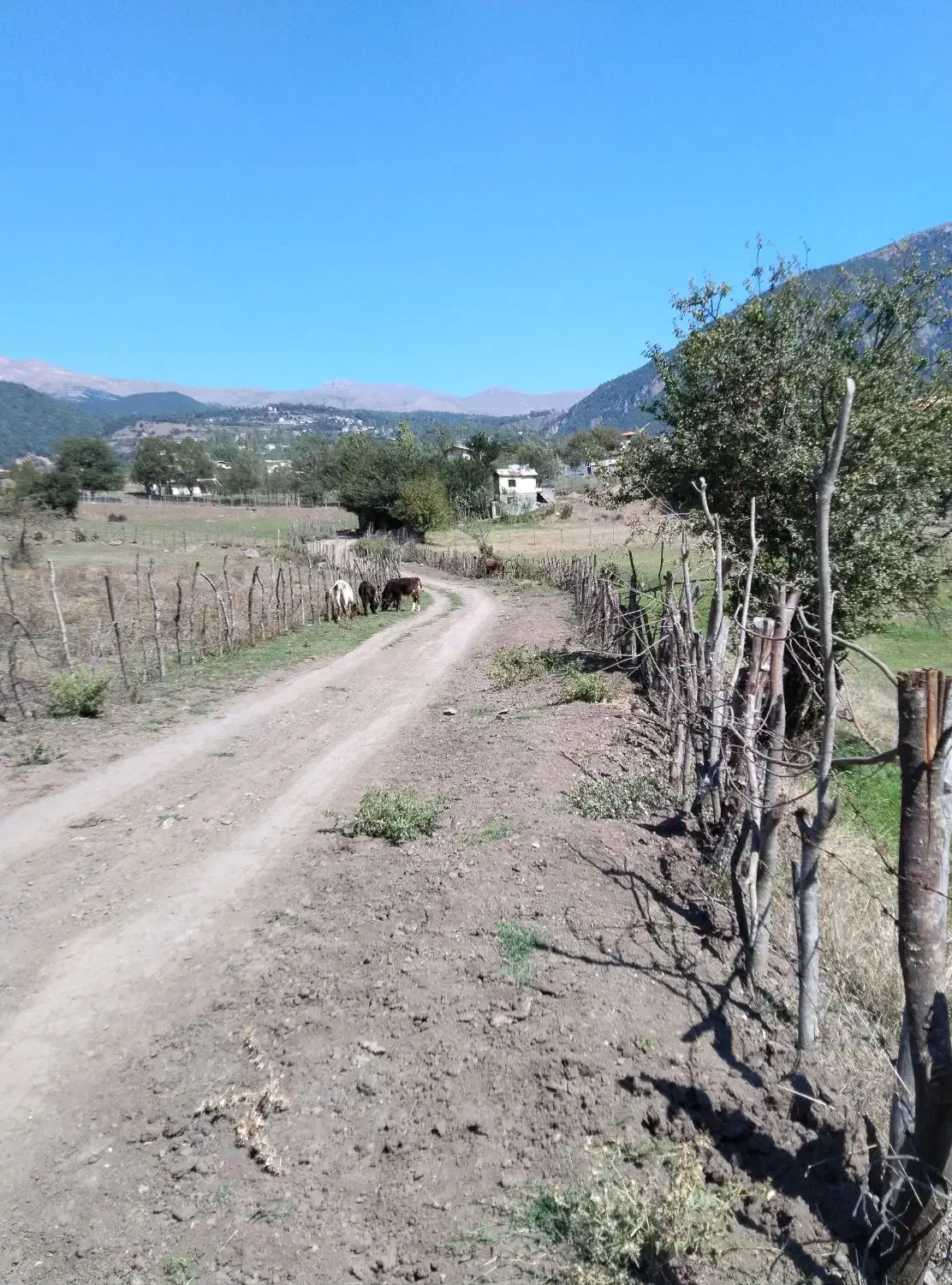 زمین|فروش زمین و ملک کلنگی|تالش, تالش|دیوار