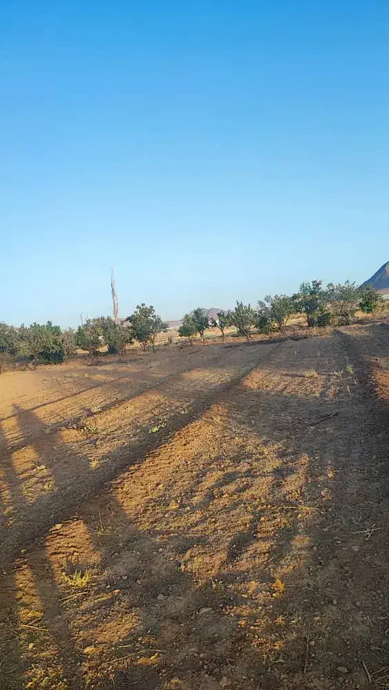 زمین گلخانه|فروش زمین و ملک کلنگی|عسگران, |دیوار