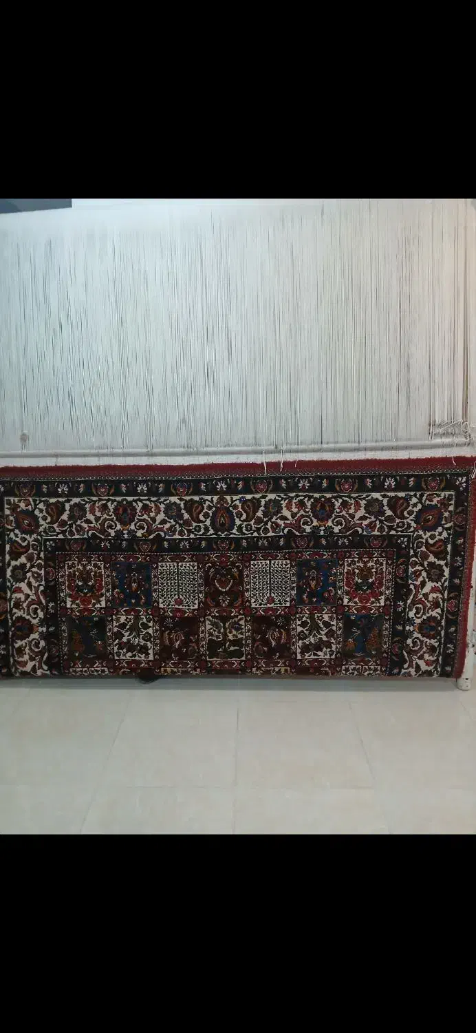 قالی دست بافت|فرش|شهرکرد, |دیوار