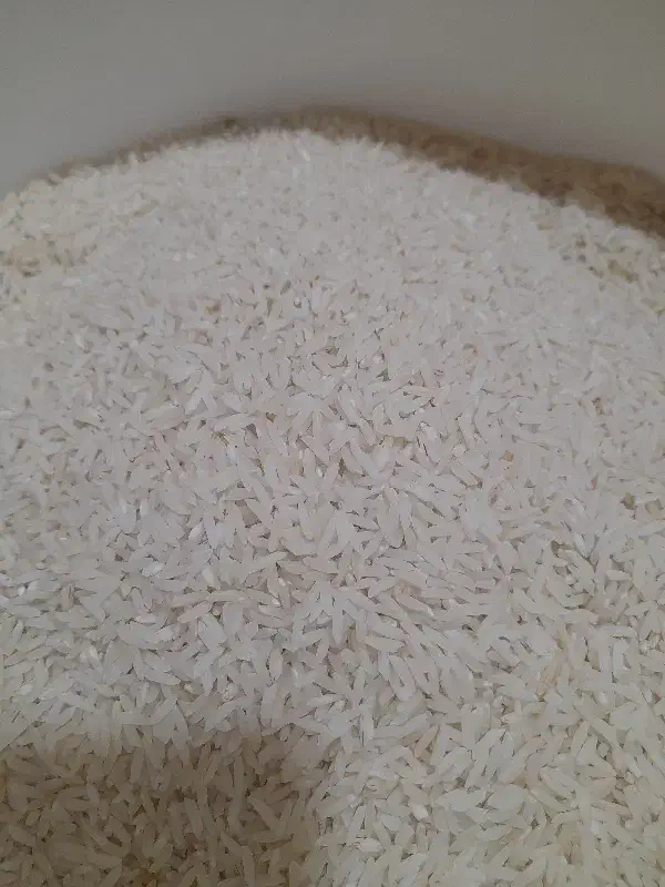 برنج طارم دم سیاه رودخانه|خوردنی و آشامیدنی|گنبد کاووس, |دیوار