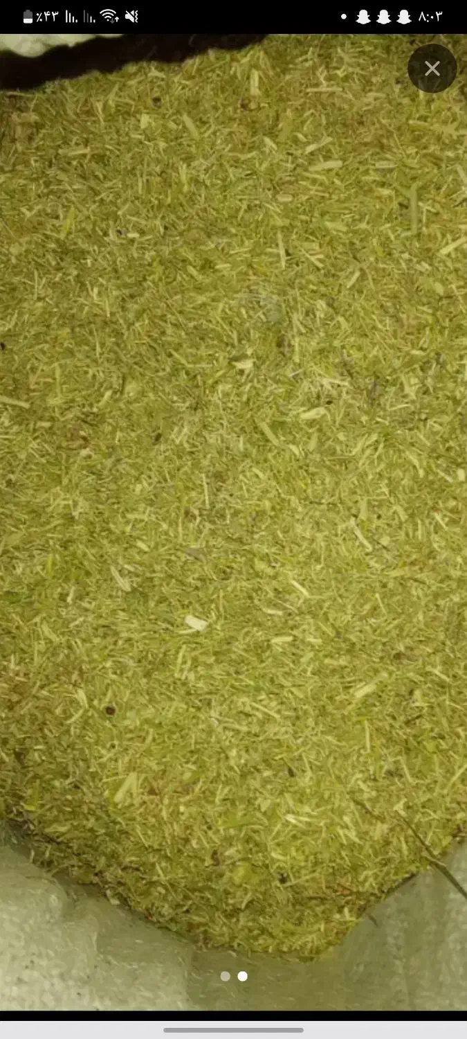 خار و علف|حیوانات مزرعه|پائین جام, |دیوار