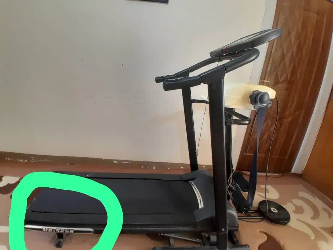 تجهیزات ورزشیف|تجهیزات ورزشی|مرودشت, گندم‎|دیوار