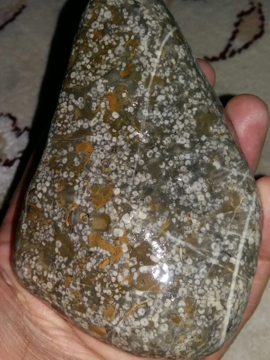 سنگ طبیعی|کلکسیون اشیاء عتیقه|علی‌آباد کتول, |دیوار