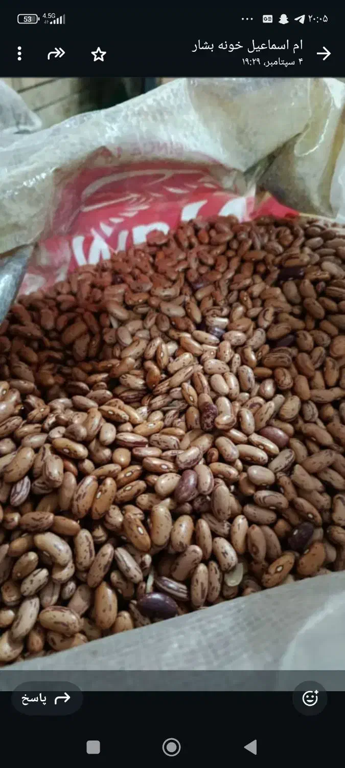لوبیا چیتی کپسولی|خوردنی و آشامیدنی|اهواز, کوی مندلی(سه راه خرمشهر)|دیوار