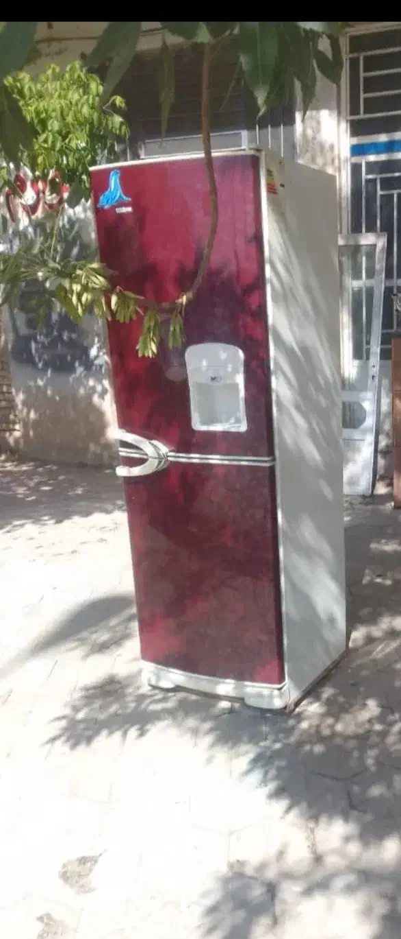 فروش یخچال درحد نو کاملا سالم به علت جابجایی|یخچال و فریزر|جونقان, |دیوار