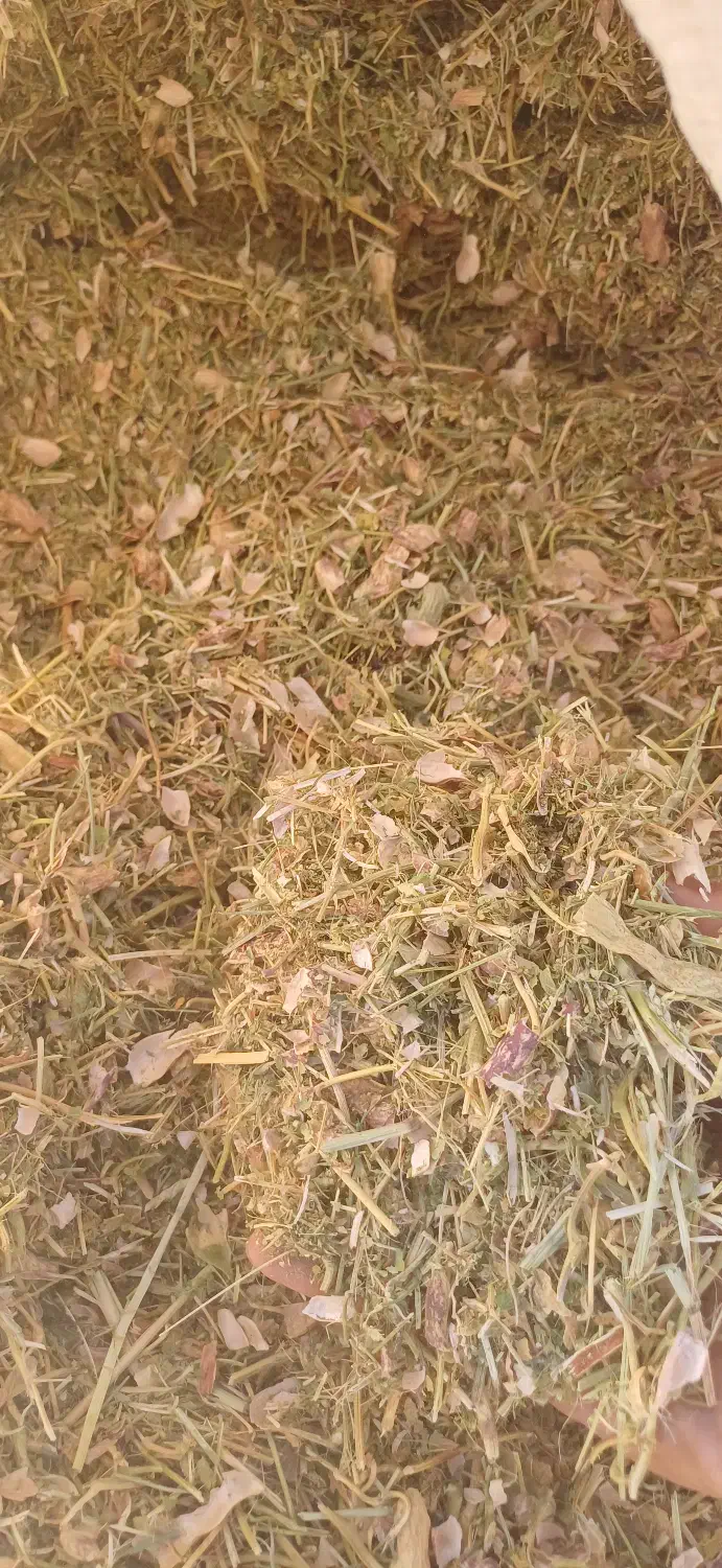 فروش کاه لوبیا چیتی نرم و کاه عدس خرمنکوب شده|لوازم جانبی حیوانات|قزوین, |دیوار