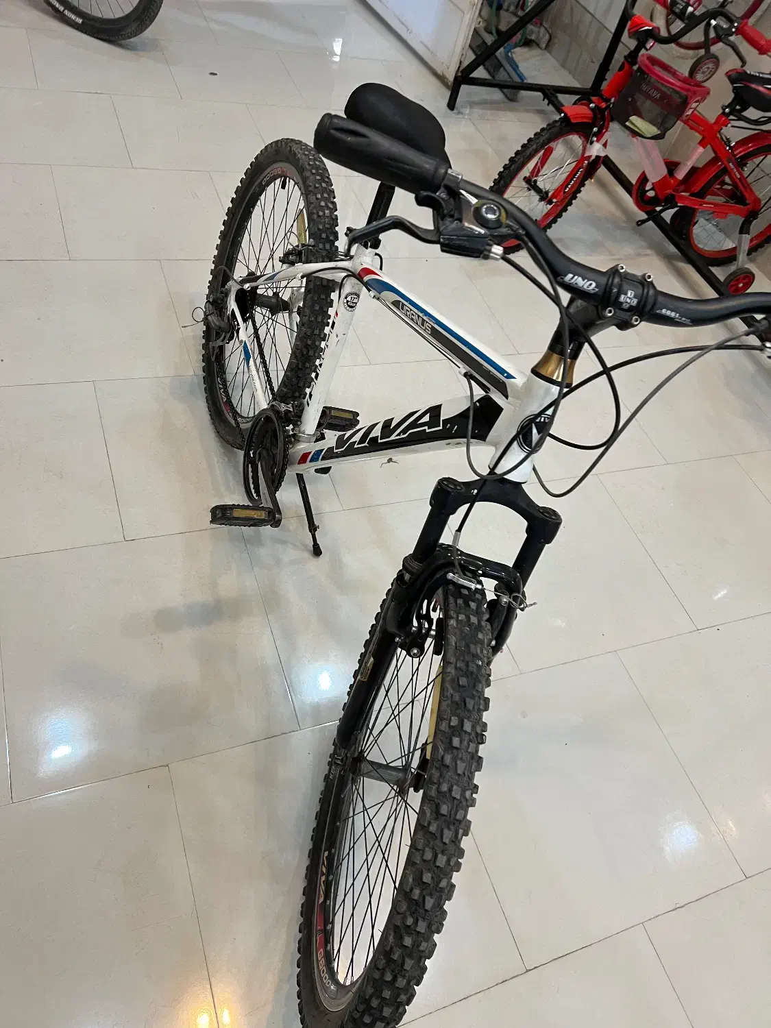 دوچرخه ویوا ۲۶|دوچرخه، اسکیت، اسکوتر|رفسنجان, |دیوار