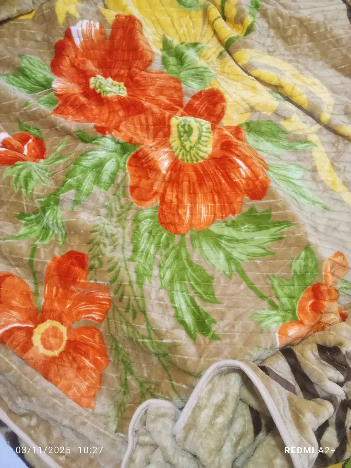 مارک نسیم|لباس|پاکدشت, پاکدشت (مامازند)|دیوار