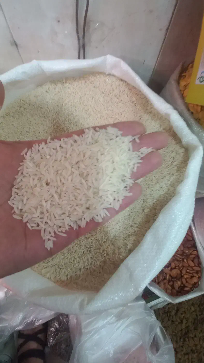 برنج هاشمی عطردار مغان|عمده‌فروشی|اهر, |دیوار