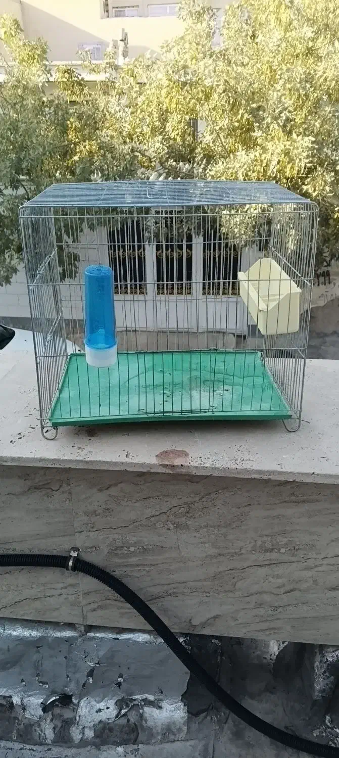 قفس|لوازم جانبی حیوانات|کامیاران, |دیوار