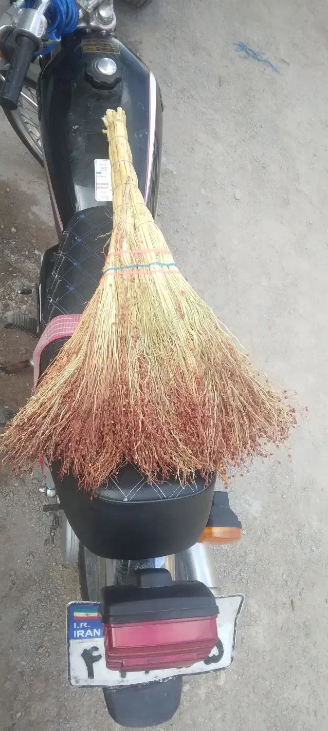 جارو  لوبیا چشم بلبلی|لوازم نظافت|مشگین شهر, |دیوار