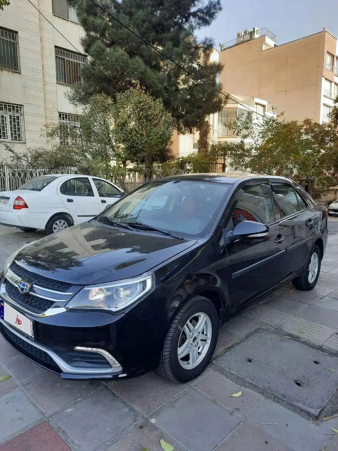 خودرو جیلی|خودرو سواری و وانت|تهران, نیلوفر|دیوار