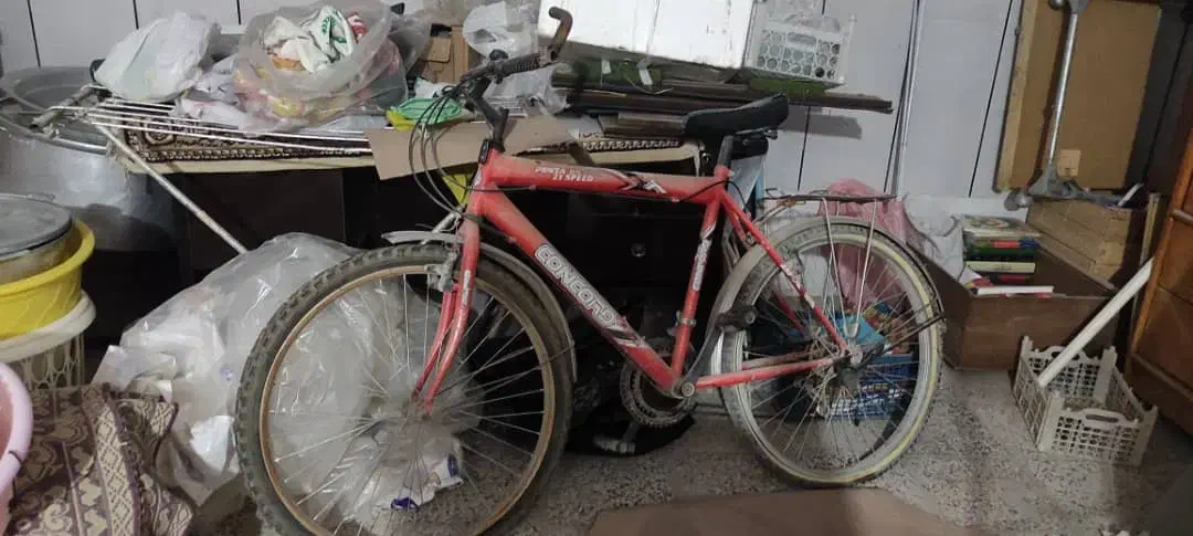 دوچرخه دنده ای|دوچرخه، اسکیت، اسکوتر|نجفآباد, فردوسی شمالی|دیوار