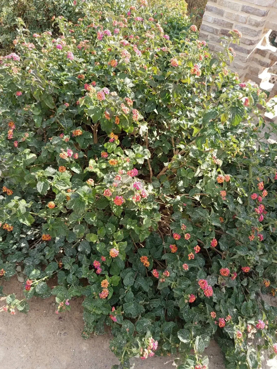 لیالی قدر|تور و چارتر|بیرجند, |دیوار