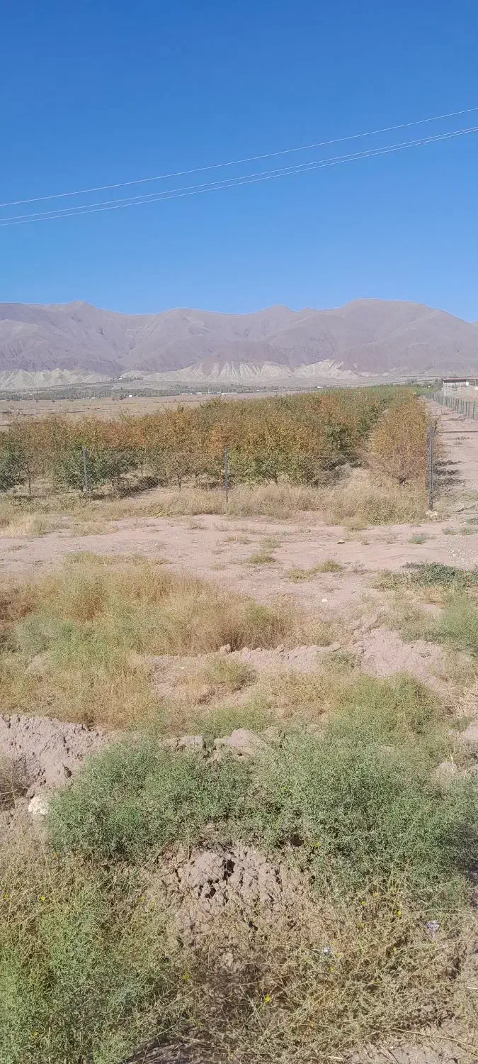 زمین فروشی|فروش زمین و ملک کلنگی|تسوج, |دیوار