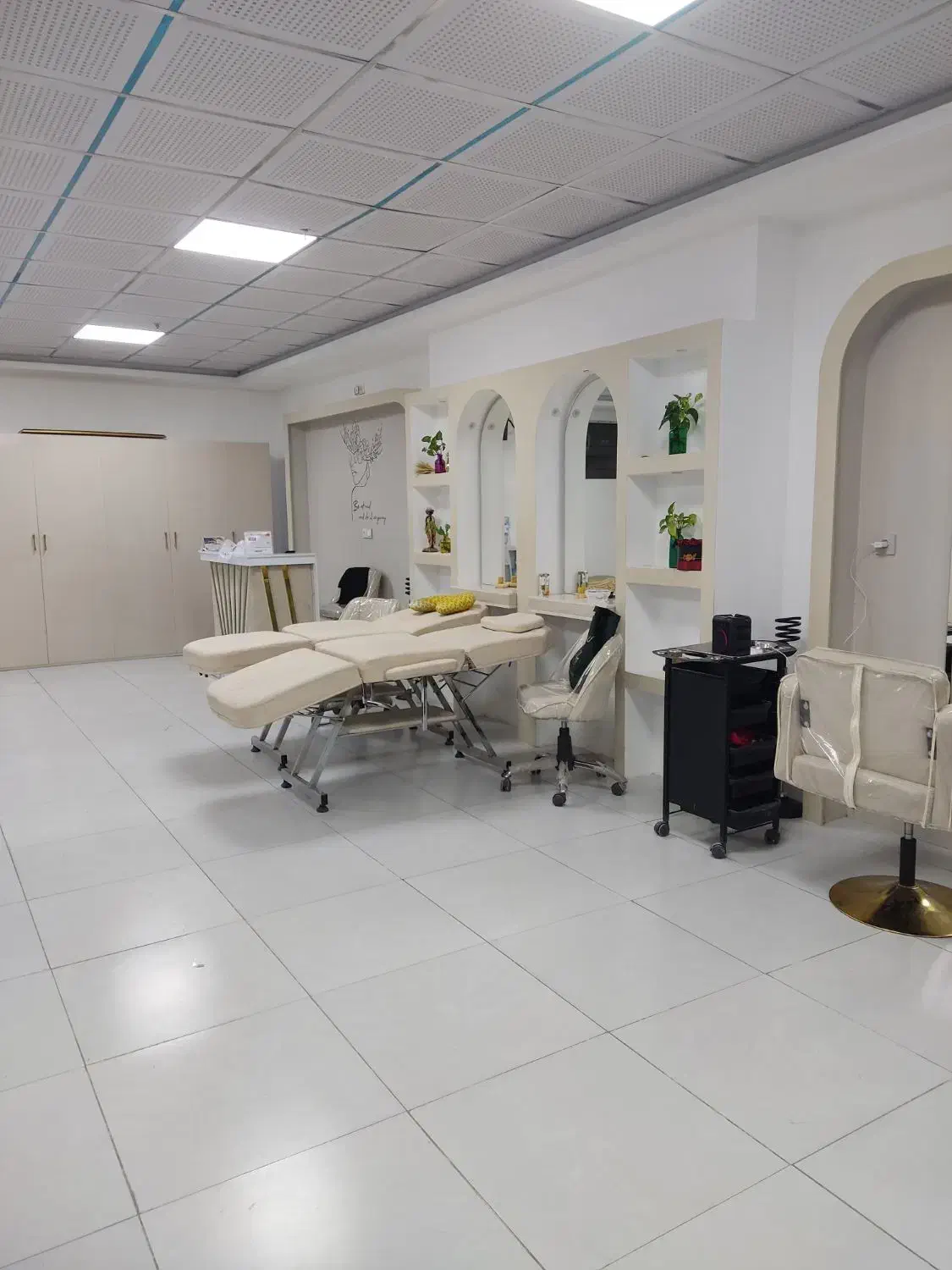 اجاره لاین های زیبایی|خدمات آرایشگری و زیبایی|شیراز, تاچارا|دیوار