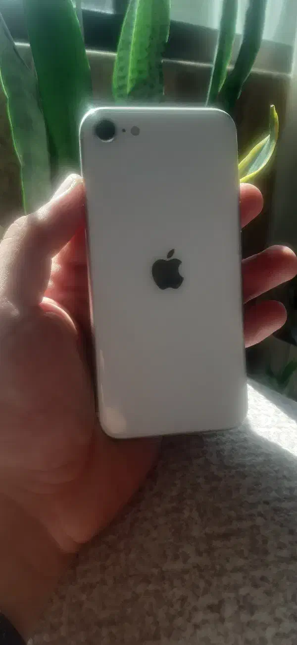 آیفون SE2020 (فروش فوری)|موبایل|رامسر, |دیوار