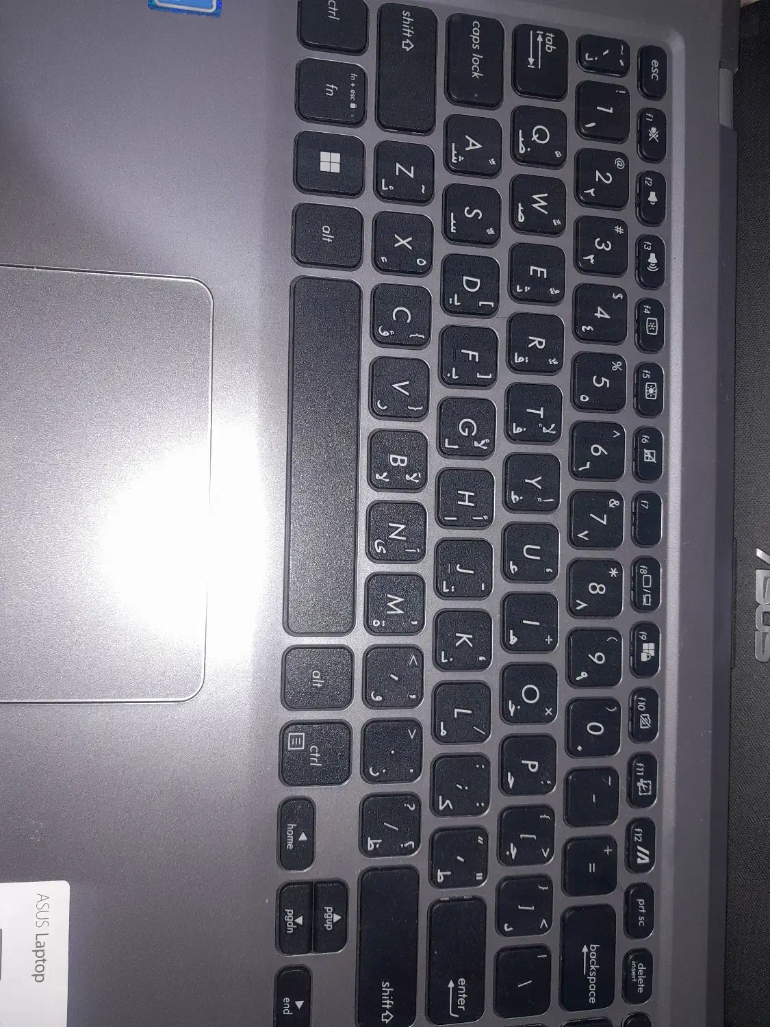 لب تاپ asus|رایانه همراه|بندرعباس, |دیوار