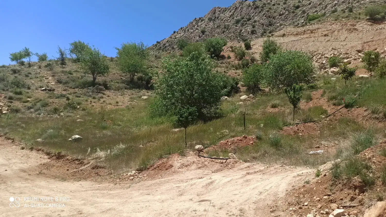 فروش زمین ۱۰۰۰ متری در کلسون ،سه چاه|فروش زمین و ملک کلنگی|شیراز, گلستان|دیوار
