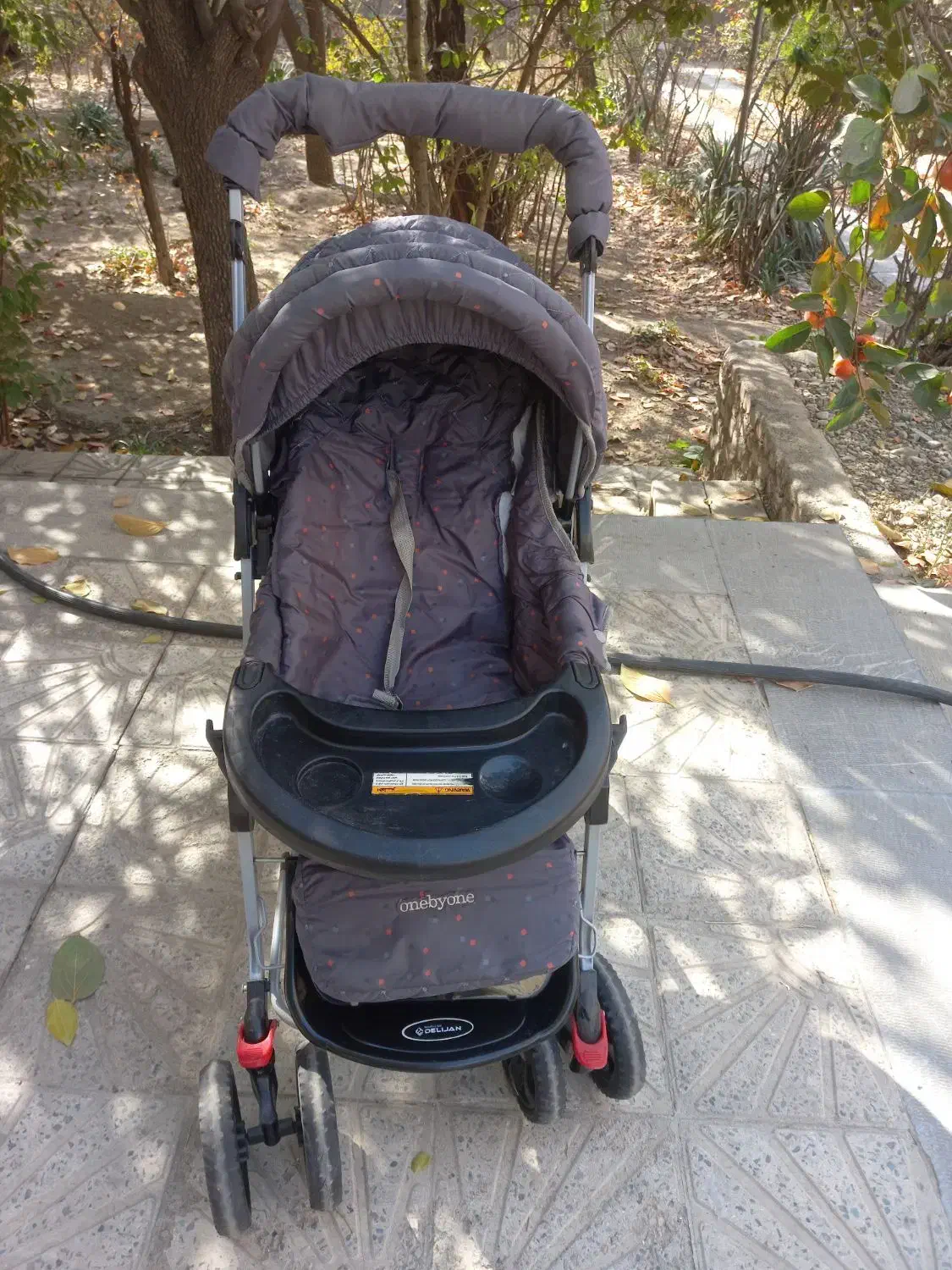 کالسکه و رورواک کودک مارک دلیجان|کالسکه و لوازم جانبی|کرج, شهرک احمدیه|دیوار