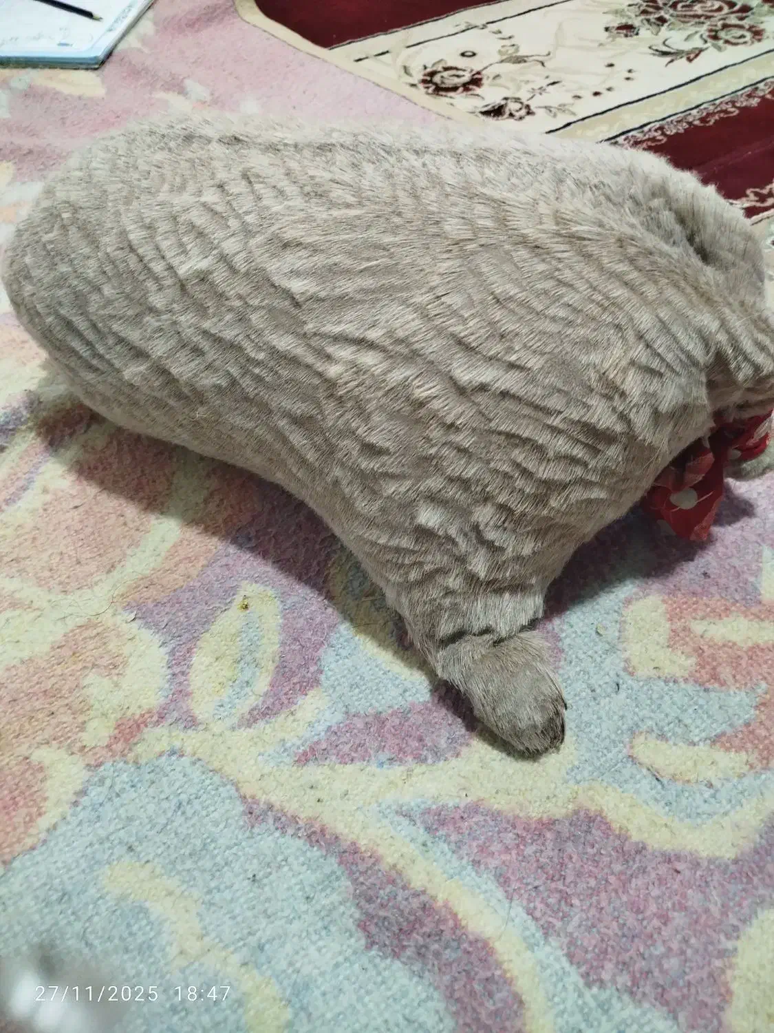 خیگ|خوردنی و آشامیدنی|دهدشت, |دیوار