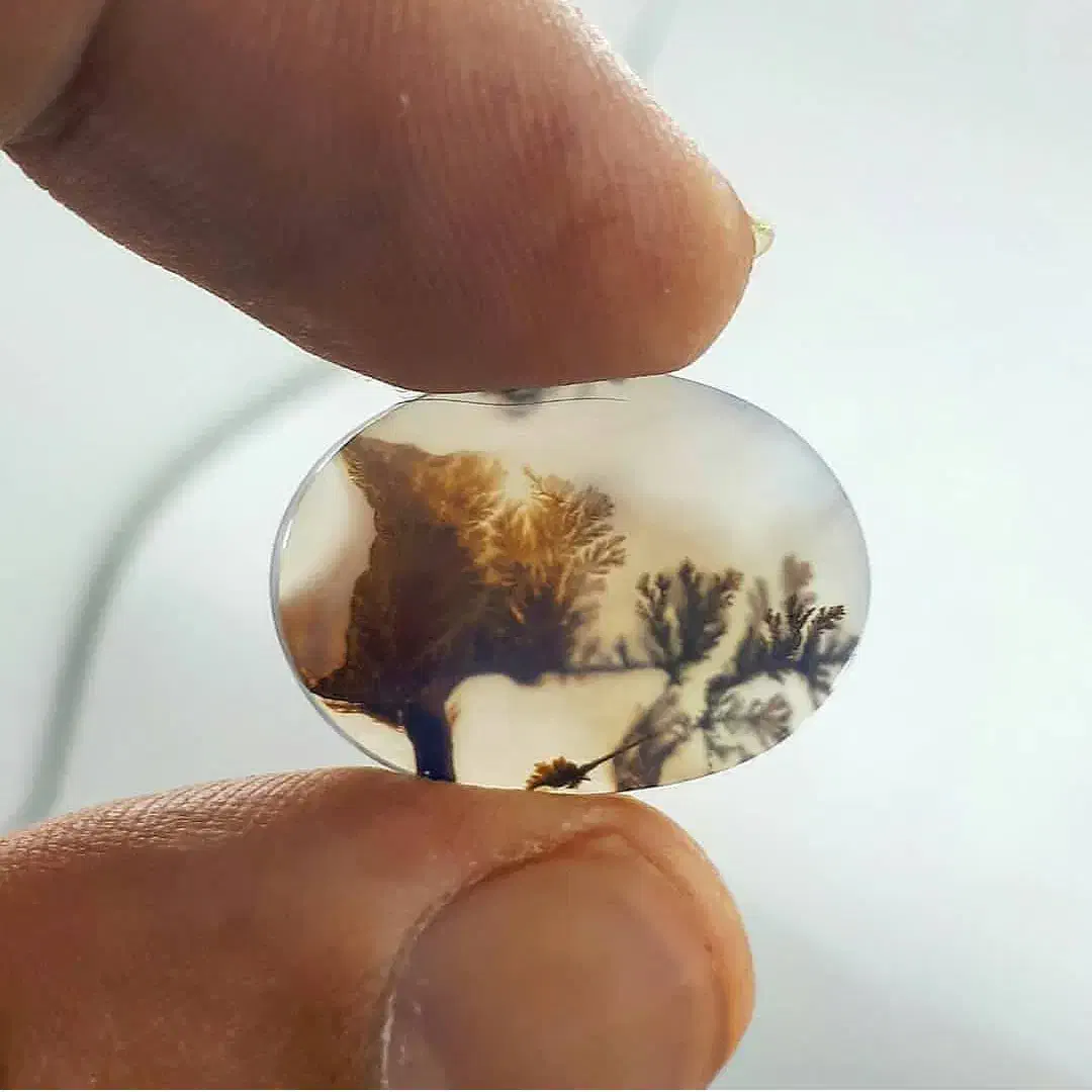 شجر|جواهرات|شوشتر, |دیوار