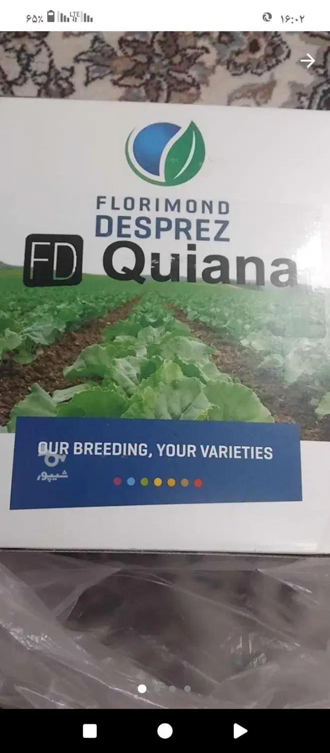 بذر چغندر قند|گل و گیاه طبیعی|گالیکش, |دیوار