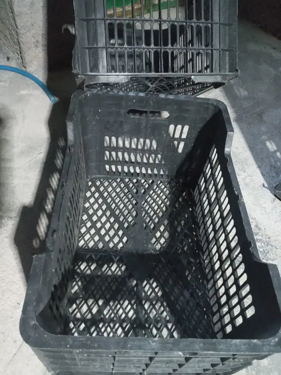 سبد موزی|ظروف نگهدارنده، پلاستیکی، یک‌بارمصرف|کاکی, |دیوار