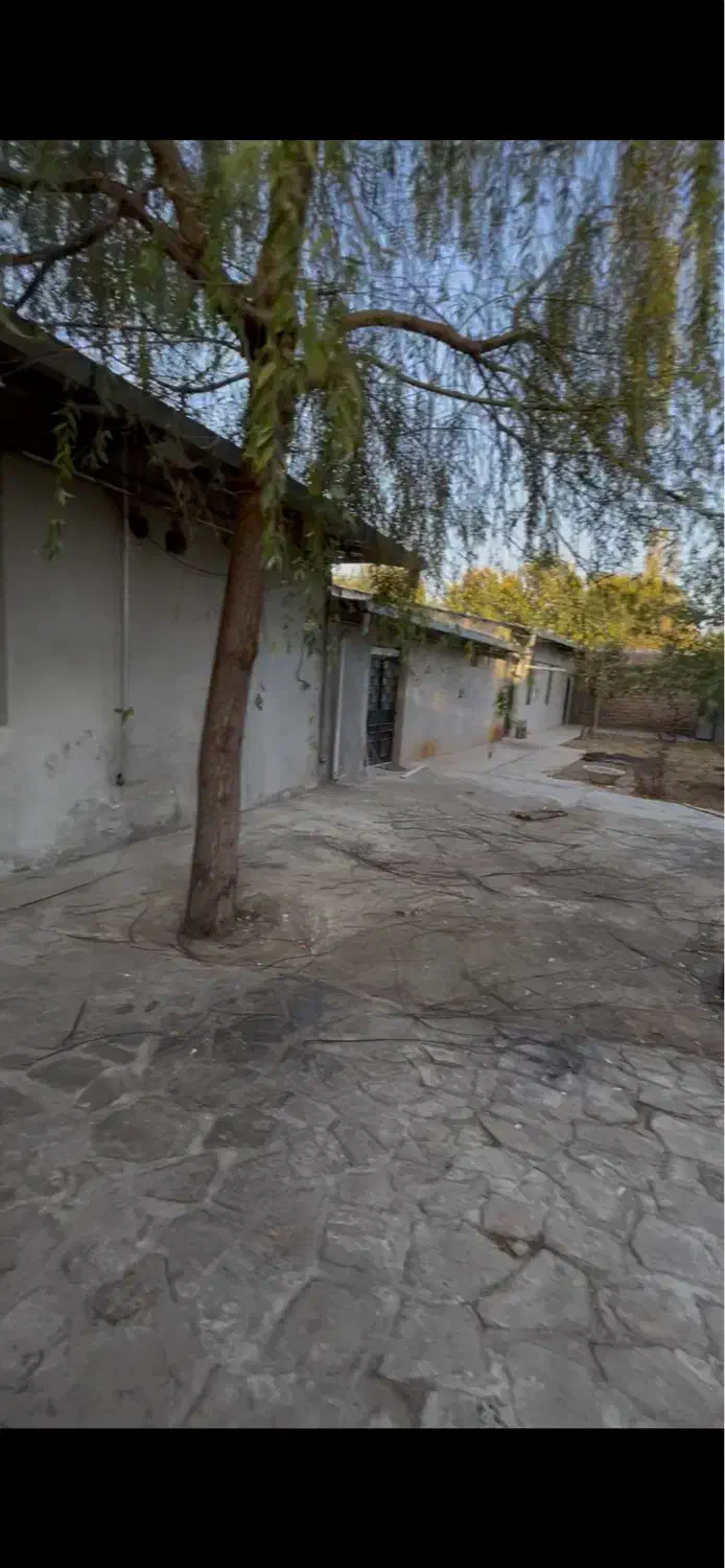 فروش سوله۵۱۰متری|فروش دفتر صنعتی، کشاورزی، تجاری|ارومیه, |دیوار