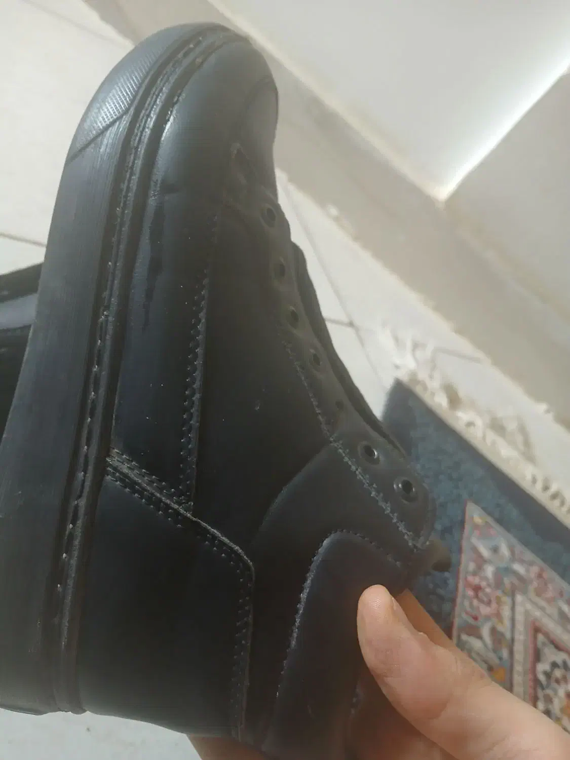 کفش|کیف، کفش، کمربند|صباشهر, |دیوار