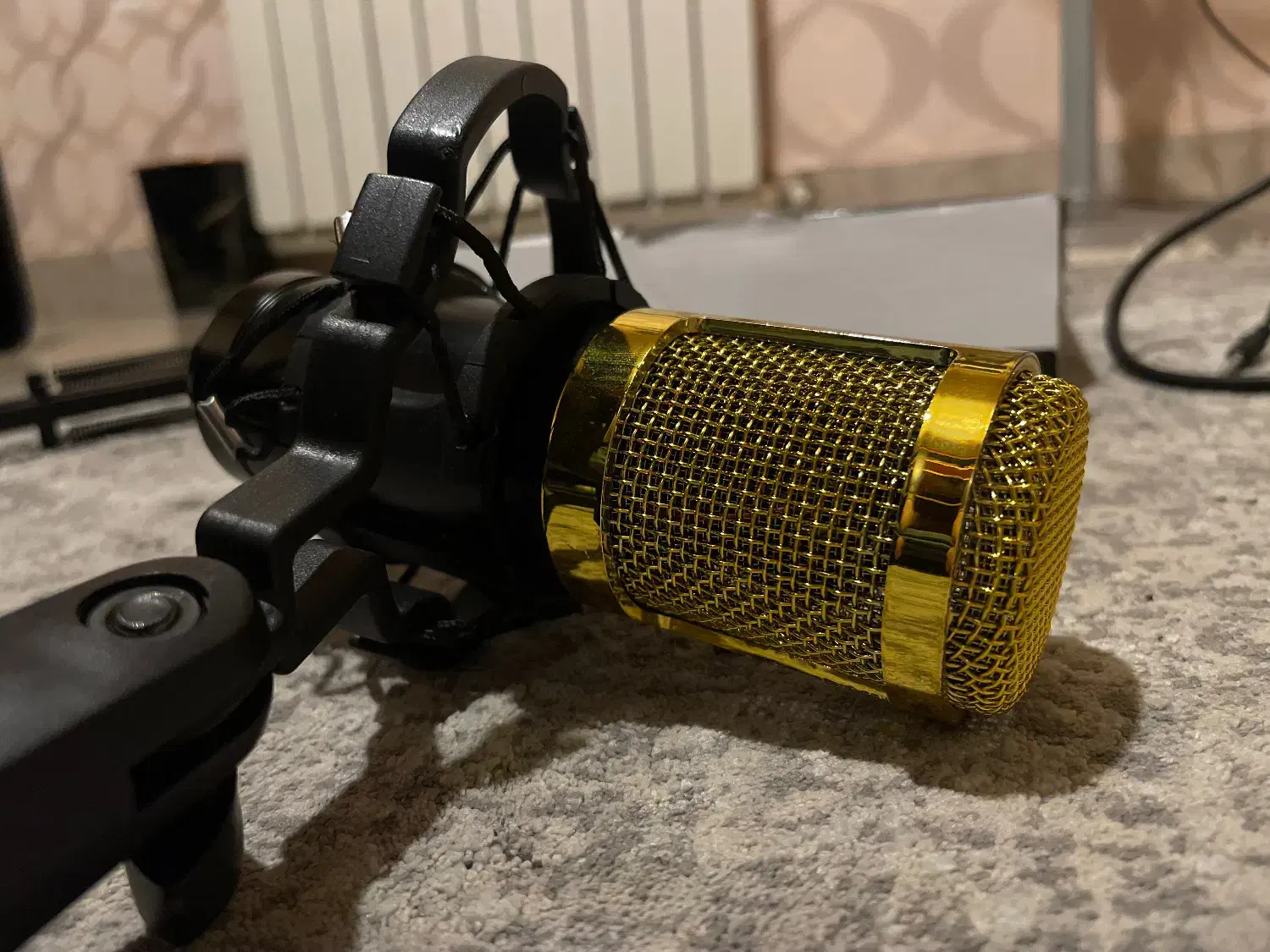 میکروفن کندانسر مدل legendary vocal|آلات موسیقی|ساری, |دیوار