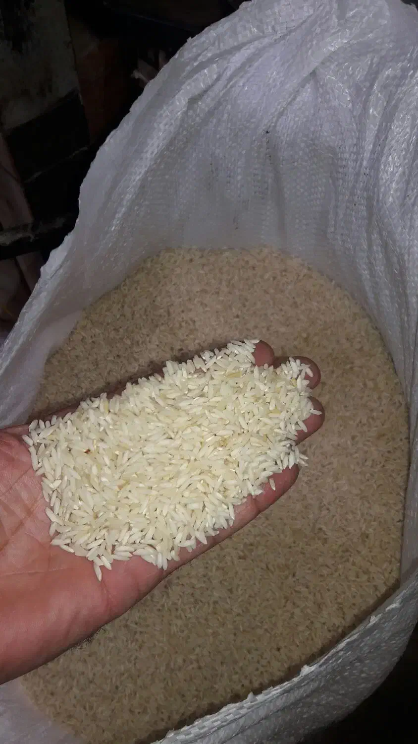 فروش برنج کاظمی وهاشمی|خوردنی و آشامیدنی|شفت, |دیوار