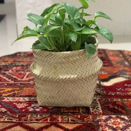 سبد های حصیری|صنایع دستی و سایر لوازم تزئینی|قم, پردیسان|دیوار