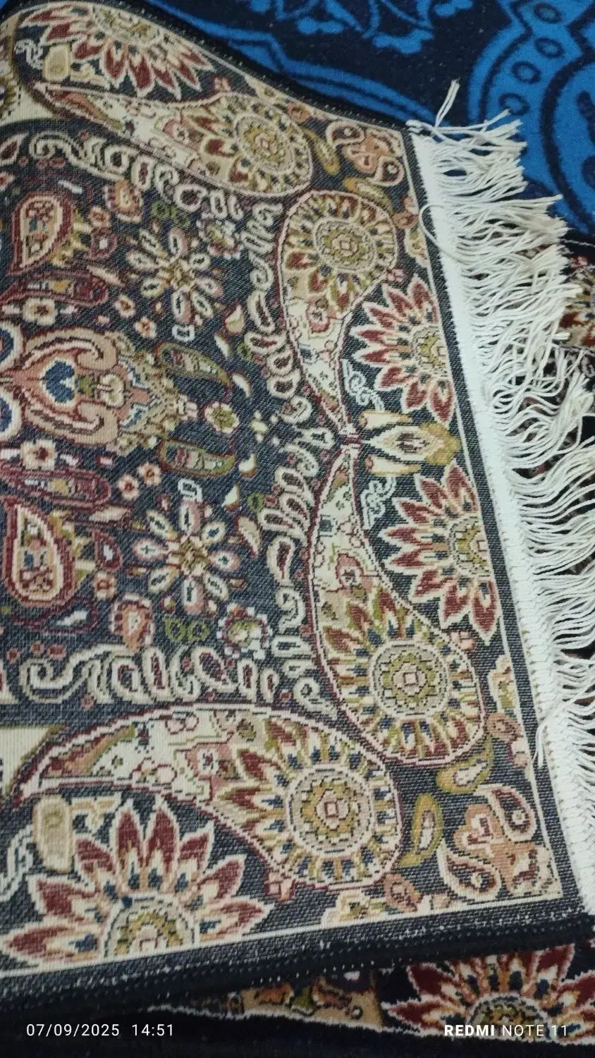 پادری ۵۰۰شونه|پادری|قم, علی آباد سعدگان|دیوار
