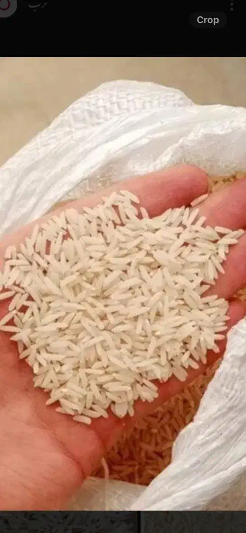 برنج هاشمی|خوردنی و آشامیدنی|آستارا, |دیوار