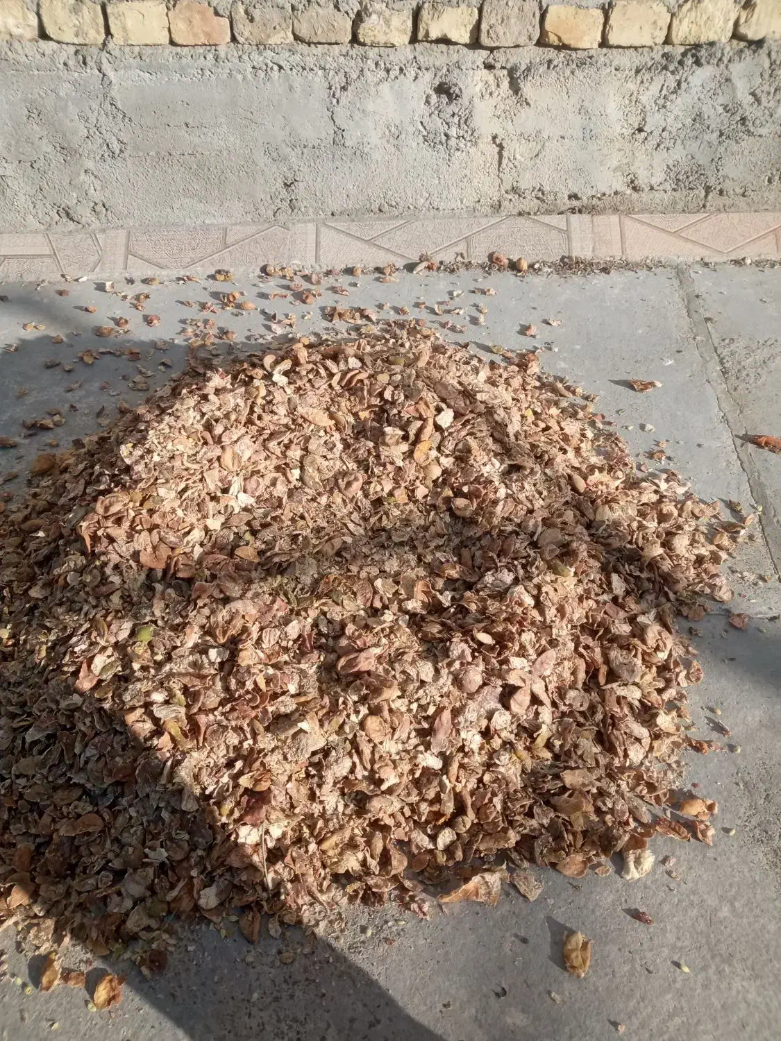 خوراک دام|حیوانات مزرعه|اصفهان, قهجاورستان|دیوار