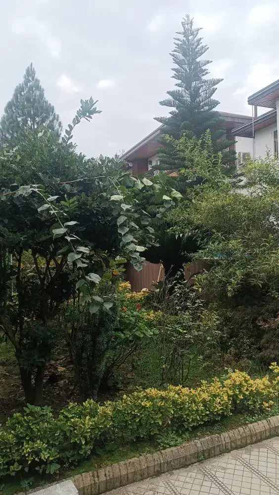 اجاره ویلااستخردار /شهرکی برند(خانم الهی)|اجارهٔ خانه و ویلا|رویان, |دیوار