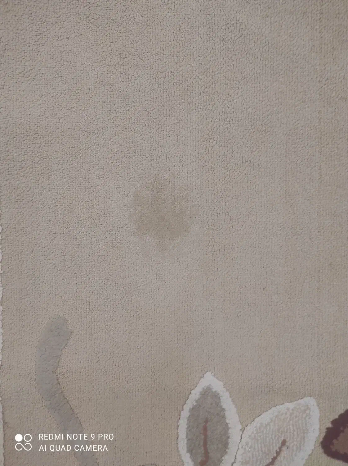 گلیم|گلیم، جاجیم، گبه|بیرجند, |دیوار