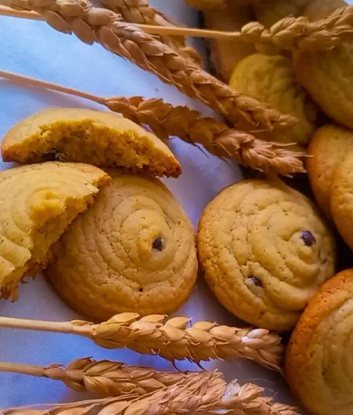 شیرینی خونگی((کیک تولد و شیرینی خشک))|خدمات پذیرایی، مراسم|قائن, |دیوار